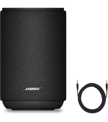 Amazon.com: Bose 768973-1110 Virtually Invisible 300 Wireless