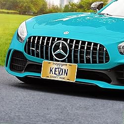 Custom Mississippi License Plate, Personalized