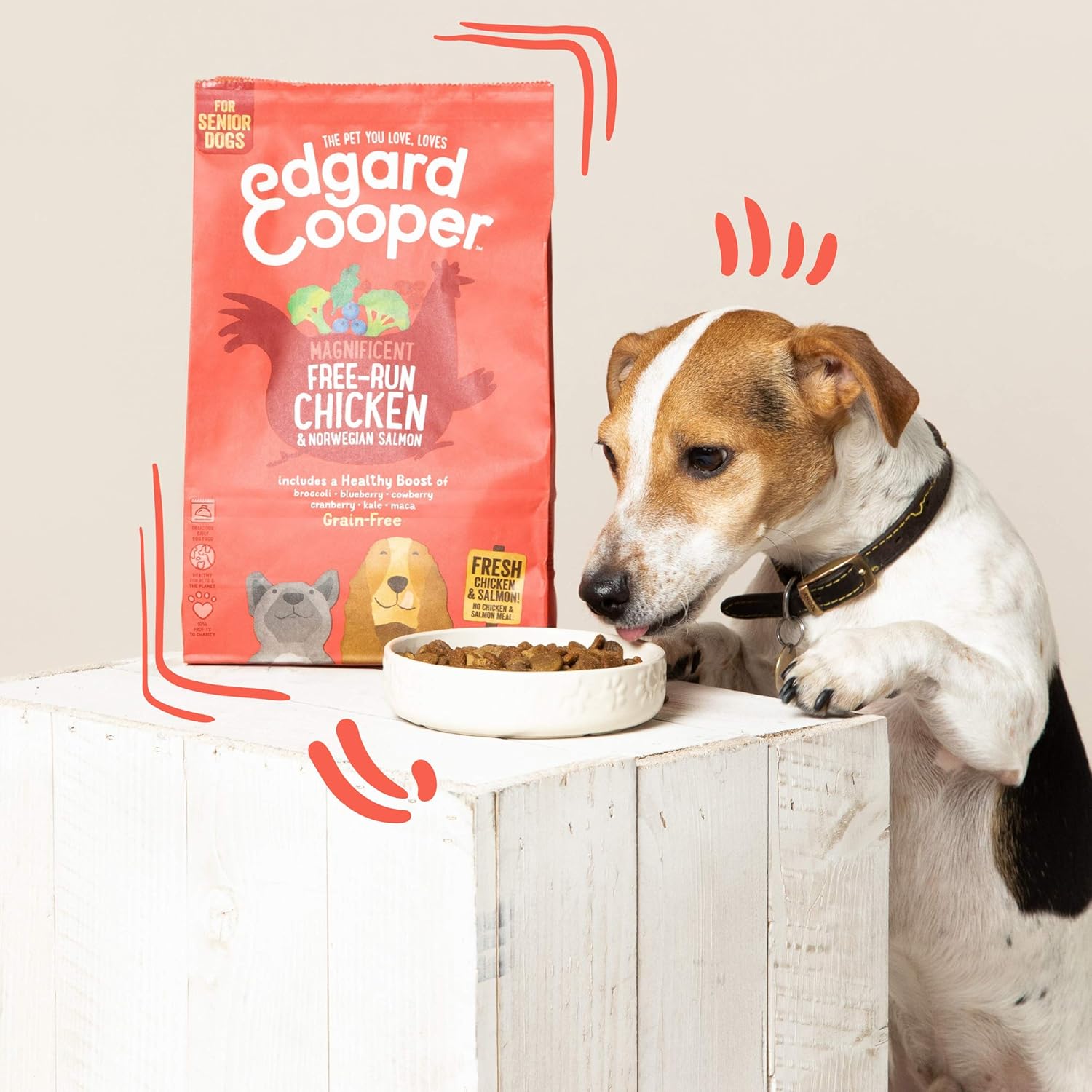 Edgard & Cooper Grain Free Dry Dog Food For Medium Breed Senior Dogs (2.5kg), Fresh Chicken & Salmon - Image 5