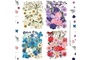 ZQMINO 140Pcs Pressed Flowers for Resin Real Bulk Dried Flowers Dry Flowers Leaves for Resin Mold Scrapbooking DIY Art Crafts, Epoxy Resin Jewelry Molds, Candle, Soap Making (Colorful)