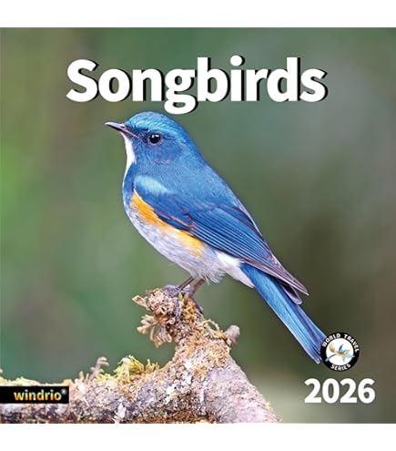 2026 鳥のカレンダー  Siegel 2026 Calendar of Extremely Accurate Birds — Tommy Siegel