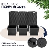 CASARIA Large Tall Rattan Flower Pot Planter with 3 Inner Pots 83x30.5x60 cm view 5