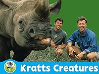 [Imagem: 814joDFTLHL._RI_SX200_.jpg]