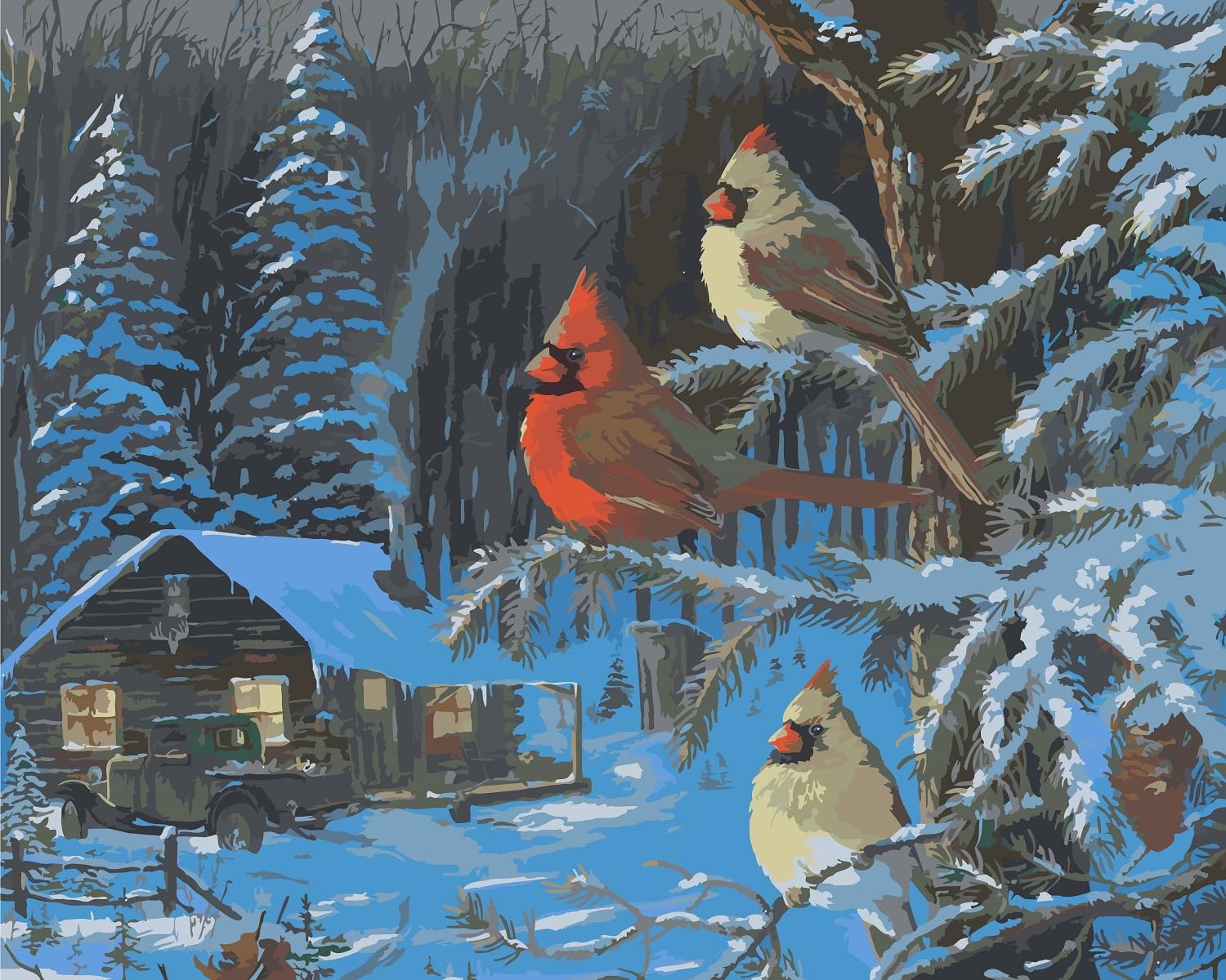 Paintings - Ledgebay Paint by Number for Adults: Beginner to Advanced Number Painting Kit - Fun DIY Adult Arts and Crafts Projects - Kits Include - (Cabin Fever Doughty, 16