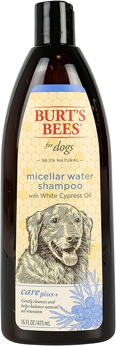 The Best Burt’s Bees Micellar Water Ph