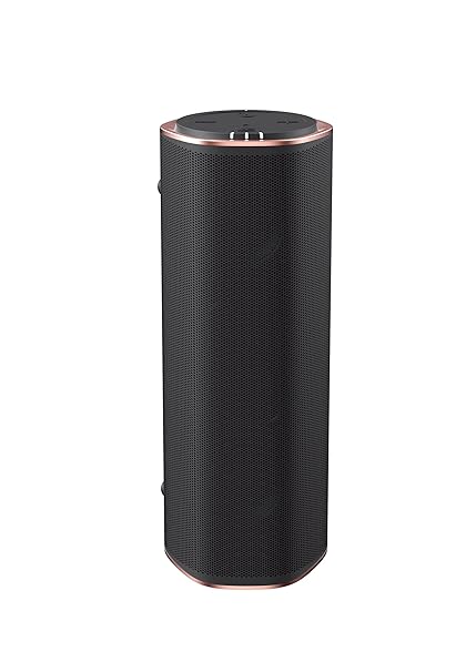 Creative Omni - Portable Bluetooth und Wi-Fi Lautsprecher, schwarz