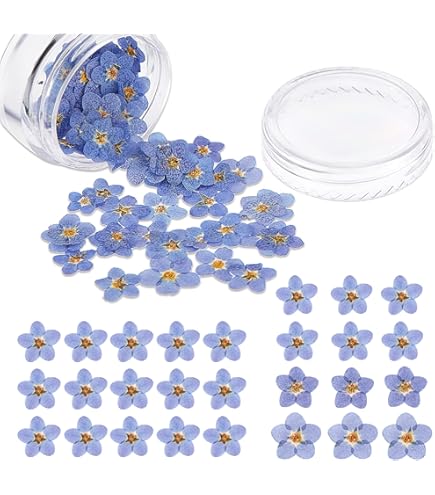 Natural Dried Flowers DIY Pressed Herbarium Kit | 34 Pieces For Resin Jewelry, Nail Art, Crafts & Decoration