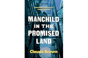 Manchild in the Promised Land