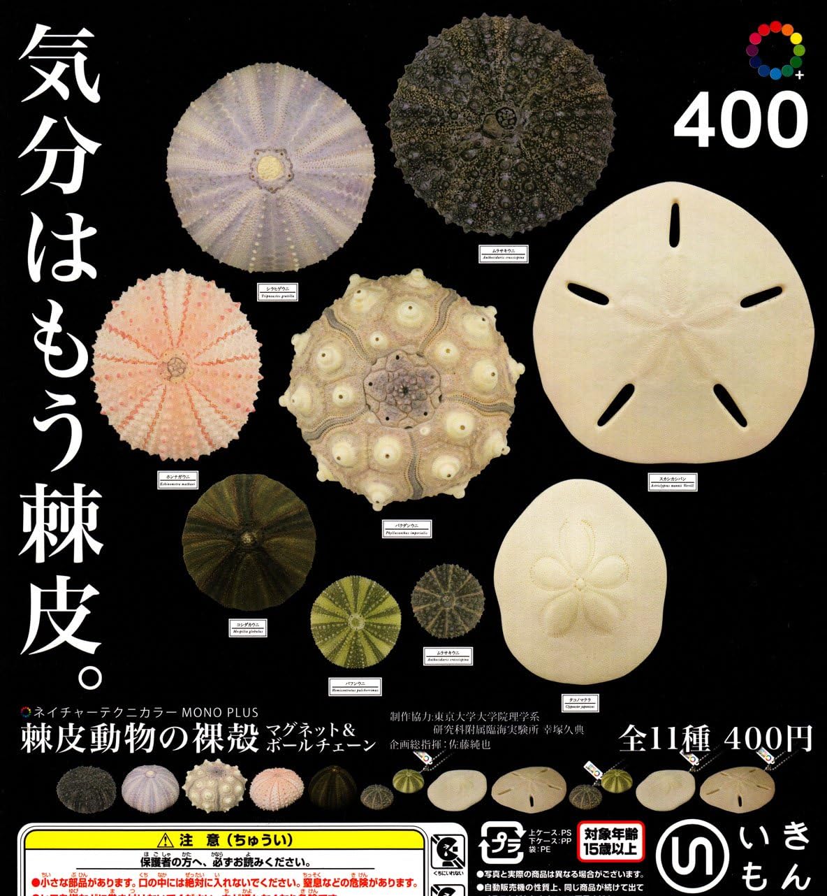 Amazon ネイチャーテクニカラー Mono Plus 棘皮動物の裸殻 マグネット ボールチェーン ウニ 株式会社いきもん 全１３種フルコンプセット Dp台紙おまけ付 フィギュア ドール 通販