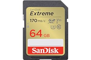 SanDisk 64GB Extreme SDXC UHS-I Memory Card - C10, U3, V30, 4K, UHD, SD Card - SDSDXV2-064G-GNCIN, Gray/Gold