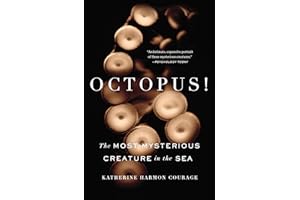 Octopus!: The Most Mysterious Creature in the Sea