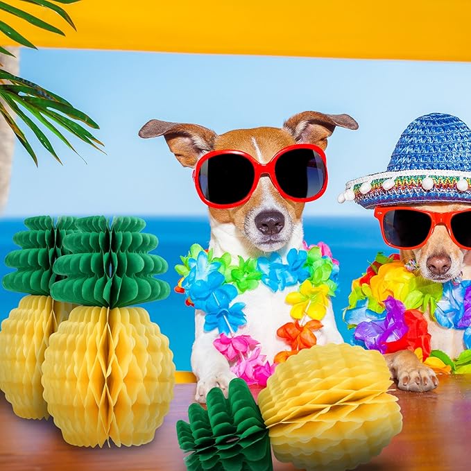 Get Partystrand dekorationen Free HD Partystrand Dekorationen