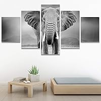 SIGNWIN 5 Panel Canvas Wall Art Modern Art Animals Dramatic Giraffe Lion Multicolor Photography Southwest for Home Decorations Ready to Hang - 60