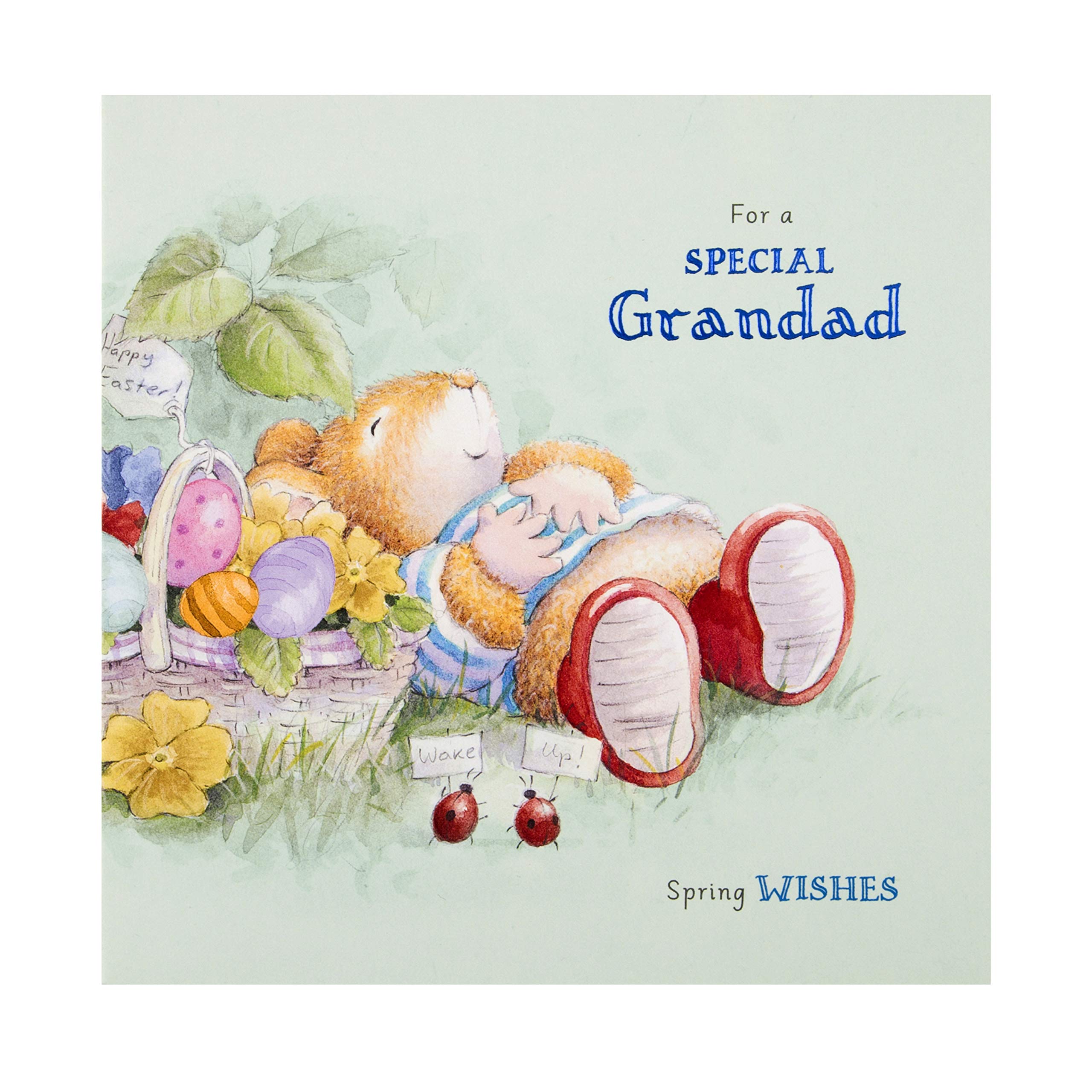 Hallmark Easter Card for Grandad - Cute Country Companions Design