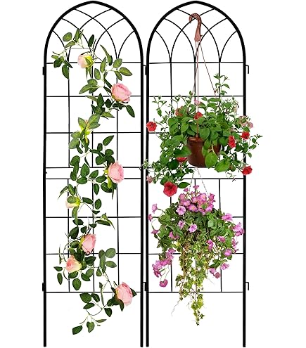 2-Pack Black Metal Garden Trellis - Rustproof Arched Design For Climbing Plants, Flowers & Vines (16" X 61")