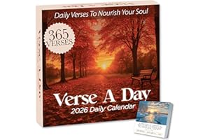 HANNAH FAITH 2026 Verse A Day Bible Calendar | 365 Christian Verses from the NIV Bible to Inspire Your Daily Devotional, Positive Motivational & Inspirational Daily Verses for Men & Women to Inspire Your Walk With God
