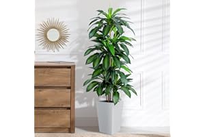 FLOWORLD Artificial Dracaena Tree with White Tall Planter, 5ft Tall Potted Artificial Dracaena Silk Plant, Fake Yucca Tree Plant, Home Office Floor Room Decor Plants Indoor Outdoor, Housewarming Gift