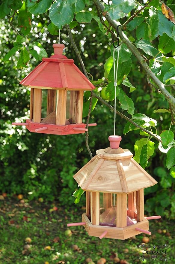 Techo Para Jardin De Invierno - Idea Sala De Estar