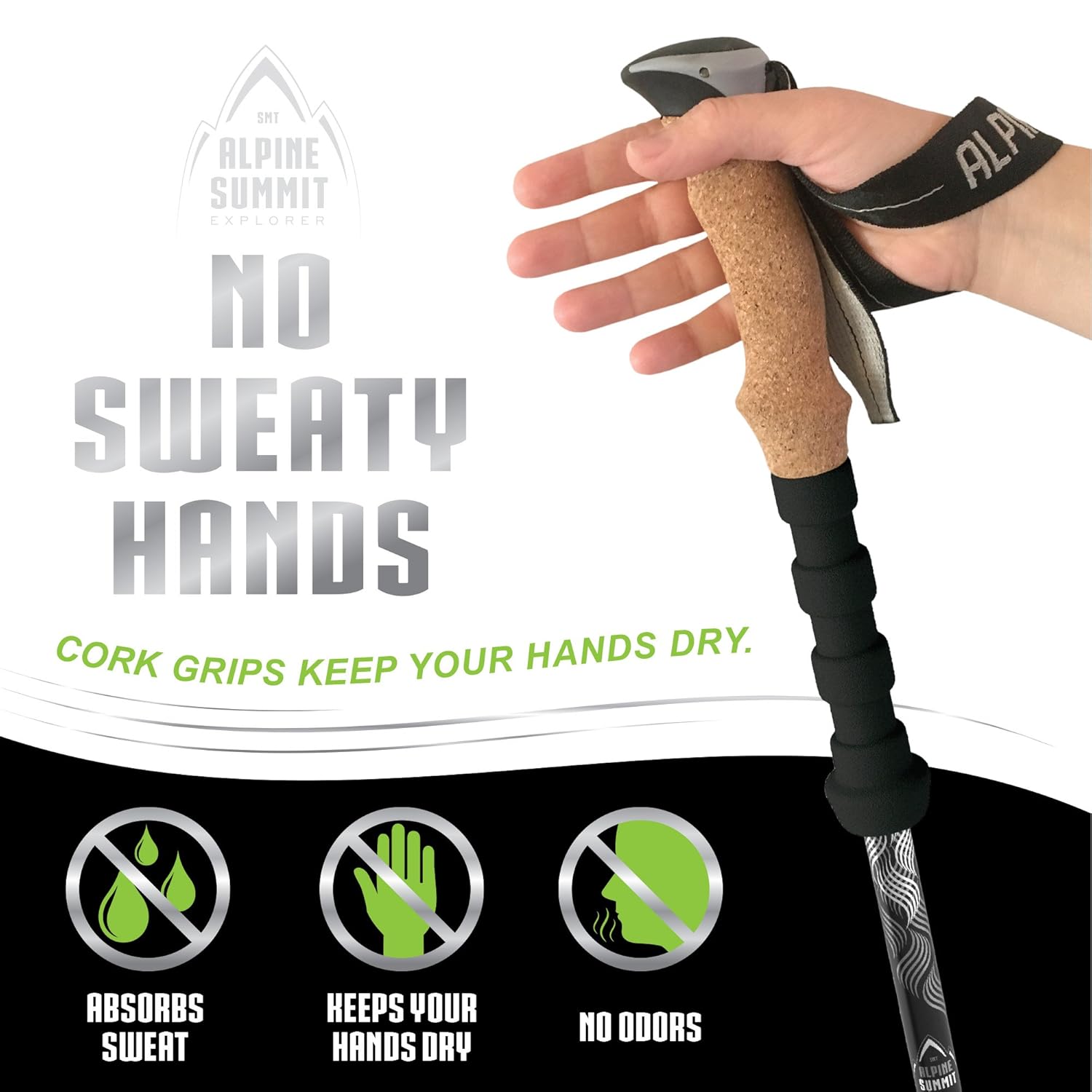 alpine summit trekking pole