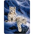3D LiveLife Magnet - Snow Leopard Cubs from Deluxebase. Lenticular 3D Big Cat Fridge Magnet. Magnetic Decor for Kids and Adults with Artwork Licensed from Renowned Artist, Joh Naito
