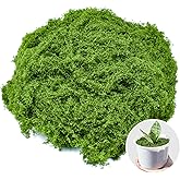 Fake Green Moss for Crafts 7 Oz Decorative Artificial Moss for Crafts Decorative Faux Moss Table Centerpieces Wedding Party Decor Fairy Garden Floral DIY