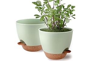Giraffe Creation 9 inch Plant Pots 2-Pack, Self Watering Flower Pots Indoor Outdoor, Planters with Drainage Hole Saucer Reservoir, Green Brown