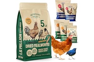 Hatortempt Dried Mealworms - 5 Lb, Non-GMO & Organic - High-Protein Mealworms for Wild Birds & Ducks, Chicken Treats & Bird Food