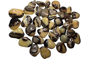 TOP-ROCK-SHOP 2pc Set Septarian Dragonstone Medium Tumbled & Polished Natural Healing Crystal Gemstone Specimens From Madagascar UV Reative