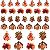 Cinnvoice 60 Pcs Turkey Charms Thanksgiving Craft Kit Resin Turkey Resin Flatback Craft Embellishment Hairpin Decoration Accessories for Thanksgiving DIY Making
