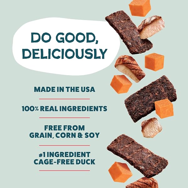 SHAMELESS PETS JERKY BITES TREATS, DUCK-TATO – HEALTHY DOG CHEWS FOR DIGESTION SUPPORT WITH FIBER – DOG TREATS WITH REAL CAGE-FREE DUCK – FREE FROM GRAIN, CORN & SOY – 1-PACK