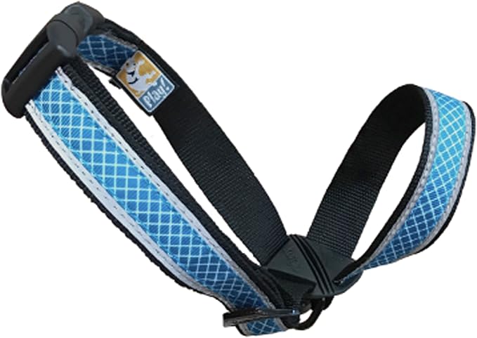 dog lead that goes over nose