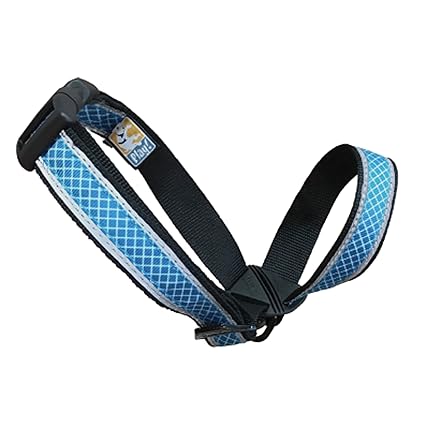 petsmart headcollar