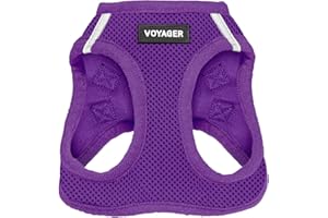 Best Pet Supplies Voyager Step-in Air Dog Harness - All Weather Mesh, Reflective, No Pull Harness for Small, Medium Dogs, Cat
