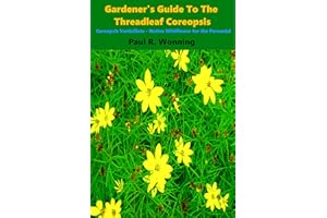 Gardener’s Guide to the Threadleaf Coreopsis: Coreopsis Verticillata – Native Wildflower for the Perennial Garden (Gardener’s