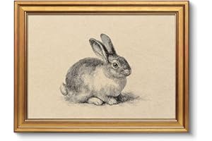 VIYYIEA Vintage Gold Framed Wall Art Decor for Living Room,Sketch Easter Bunny Decorations,Neutral Rabbit Vintage Canvas Wall