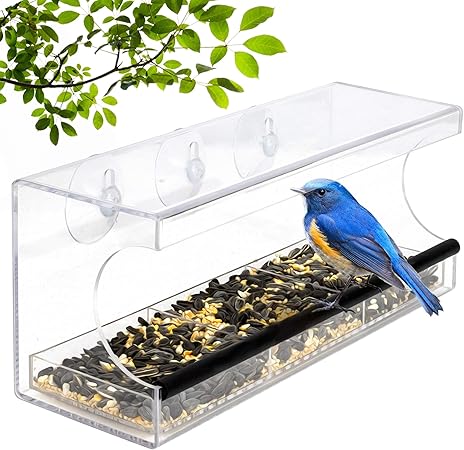 Amazon Com Window Bird Feeder Transparent Acrylic Design