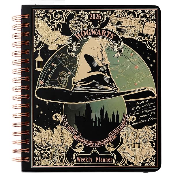 Amazon.com: Harry Potter: Magical Places 12-Month Undated