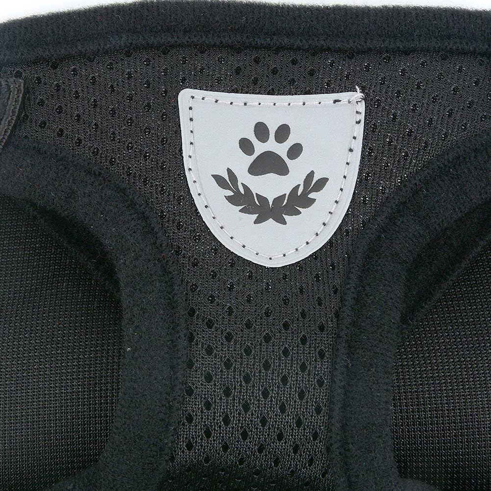 Zunea No Pull Dog Harness for Small Dog Cat Reflective Breathable Soft Mesh Padded Step-in Vest Harnesses Leash Set - Image 5