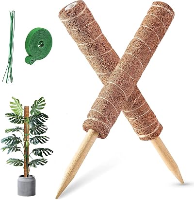 MABUSIYI Moss Pole 2-Pack 40CM Coir Moss Pole for Monstera Pothos Indoor
