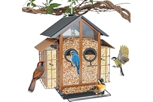 TayePin Bird Feeders for Outdoors Hanging, Metal Wild Bird Feeders with Double Suet Cage, 4LBS Large Capacity for Outside Gar
