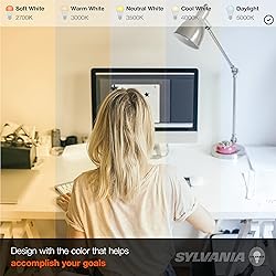 SYLVANIA ECO LED Light Bulb, A19, 100W