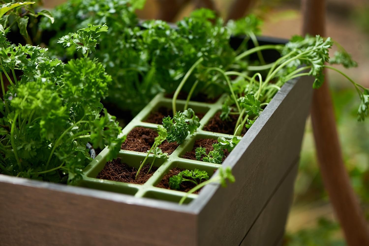 Keter Raised Garden Bed With Self Bewasserungs Pflanzkasten Und Ablaufstopfen Dunkelgrau Amazon De Garten