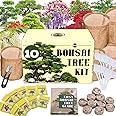 Premium Bonsai Tree kit - 10 Types Bonsai Tree Growing Set for Starter, Bonsai Kit with Soil, Pots, Scissor, Plant Makers, Grow Bonsai Indoor, Bonsai Beginner Kit Plant Gifts