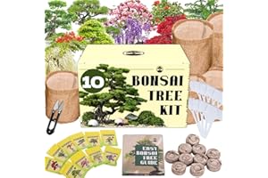 EQUSYM Premium Bonsai Tree kit - 10 Types Bonsai Tree Growing Set for Starter with Soil, Pots, Scissor, Plant Makers, Grow Greenery Indoor, Beginner Planting Kit Plant Gifts
