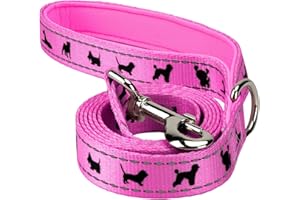 EcoBark Dog Leash - 4 FT / 5 FT / 6 FT Reflective Dog Leash- Eco-Bright Dog Leashes with Padded Handle - Strong Heavy Duty Dog Leash - Nylon Dog Leash for Small and Medium Dogs (Pink Dog Leash)