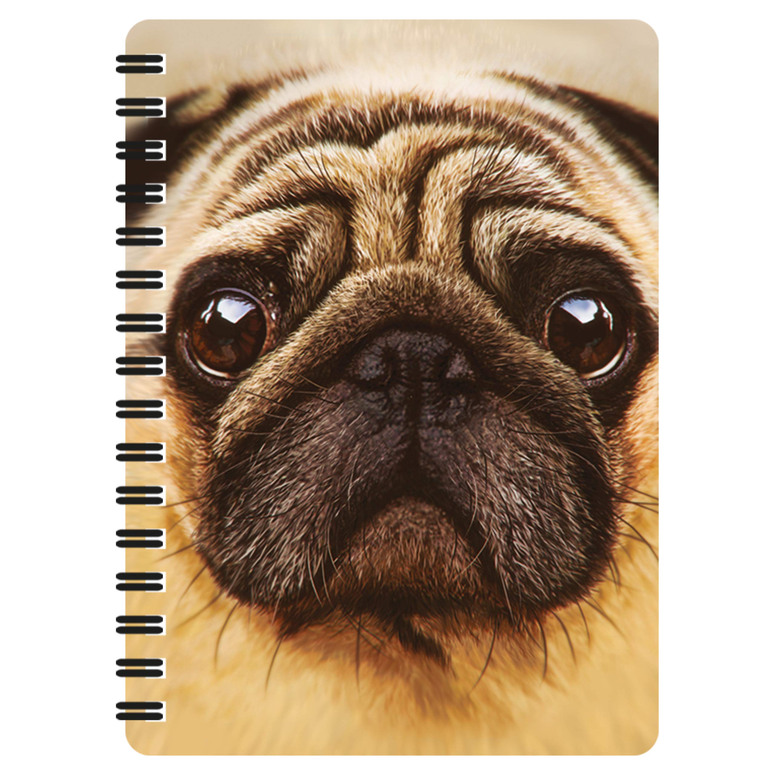 3D LiveLife Jotter - Pug from Deluxebase. Lenticular 3D Dog A6 Spiral Notebook with plain recycled paper pages. Artwork licensed from renowned artist David Penfound