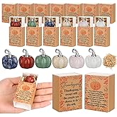 LemonRoad 6 Sets Friendsgiving Thanksgiving Gift Favors Maple Leaves Positive Gift Boxes Cards with Crystal Pumpkin for Thanksgiving Party Favors Basket Stuffer Office Table Decor Family Employee
