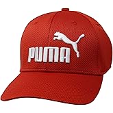 Puma Unisex-Adult Evercat Mesh Stretch Fit Cap