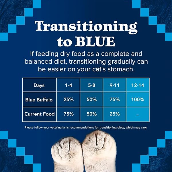 BLUE BUFFALO WILDERNESS GRAIN FREE NATURAL HIGH PROTEIN SALMON ADULT DRY CAT FOOD, 4 LBS.