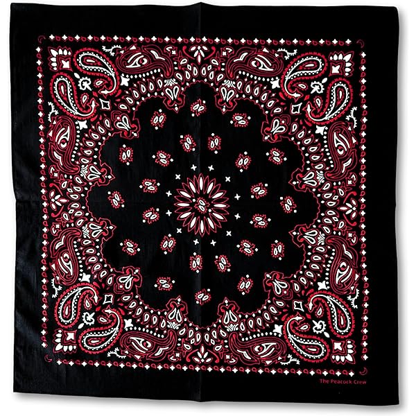 Amazon.com: ZANheadgear B001 Premium Bandanna, 100% Cotton